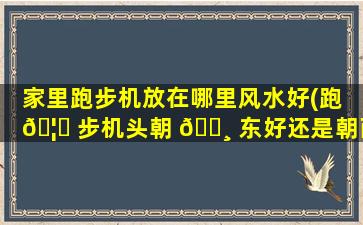 家里跑步机放在哪里风水好(跑 🦟 步机头朝 🕸 东好还是朝西好)
